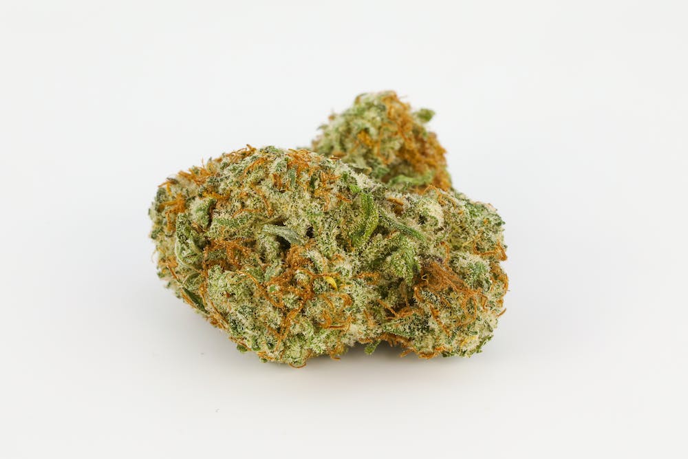 Animal Zkittles